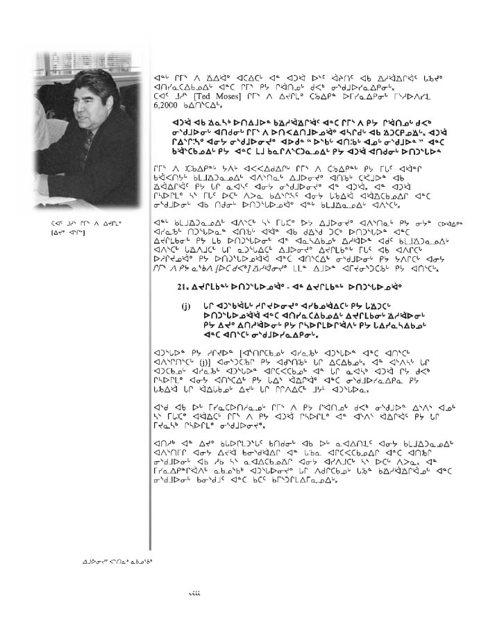 10675 CNC Annual Report 2000 NASKAPI - page viii